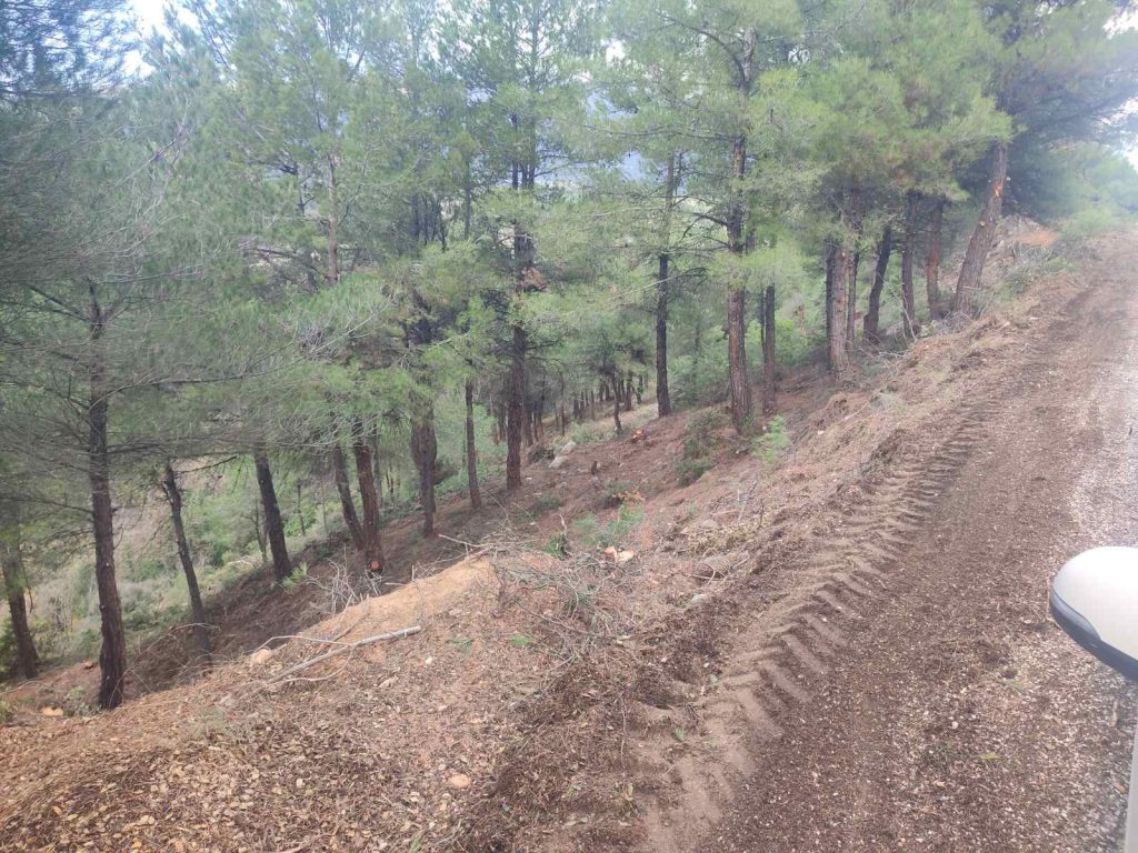 Ολοκληρώθηκε το Πρόγραμμα «Προστασίας Δασών – AntiNERO IV» στον Δήμο Εμμανουήλ Παππά