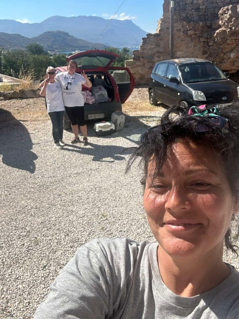 Με επιτυχία ολοκληρώθηκε το πρόγραμμα μαζικών στειρώσεων αδέσποτων ζώων στον Δήμο Κισσάμου
