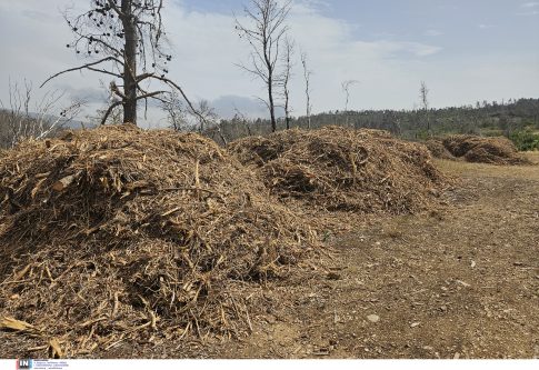 Κοζάνη: Forum Επιχειρηματικότητας και Καινοτομίας Δυτικής Μακεδονίας