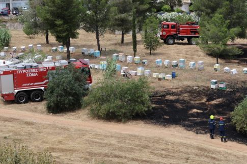 Καλαμάτα: «Δέχτηκε πρώτος επίθεση», λέει ο δικηγόρος του 41χρονου – Το Σάββατο η απολογία του