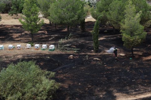 ΕΕ: Οριστικοποιήθηκε το πρόγραμμα ακροάσεων των ορισθέντων Επιτρόπων – Στις 4 Νοεμβρίου του <strong>Απόστολου Τζιτζικώστα</strong>