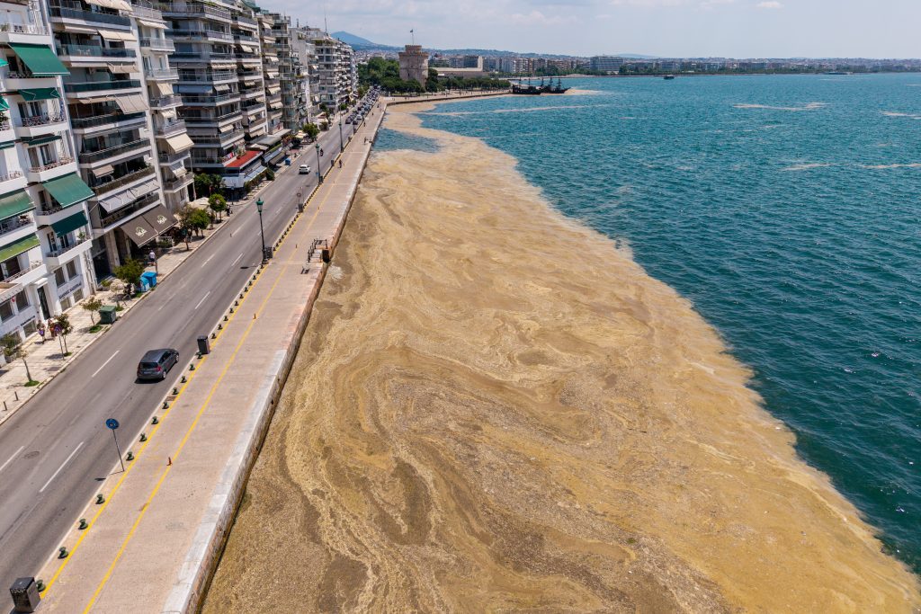 Στη στεριά βγήκε το φυτοπλαγκτόν στο λιμάνι της Θεσσαλονίκης