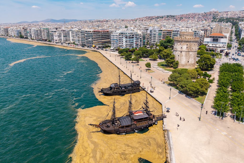 Στη στεριά βγήκε το φυτοπλαγκτόν στο λιμάνι της Θεσσαλονίκης