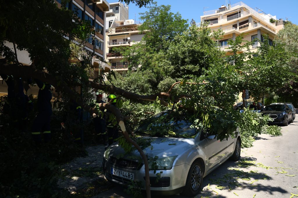 Ισχυροί άνεμοι στην Αττική: Πτώση δέντρου στη Μιχαλακοπούλου και ζημιές στο Παγκράτι