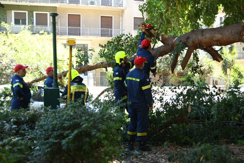Ισχυροί άνεμοι στην Αττική: Πτώση δέντρου στη Μιχαλακοπούλου και ζημιές στο Παγκράτι
