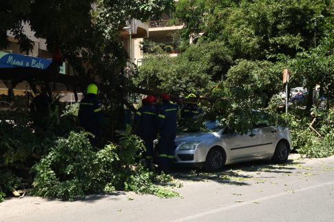 <strong><u>Σε λειτουργία το πρώτο στην Ηλεία πάρκο φωτοβολταϊκών επιχειρηματικής κοινότητας</u></strong>