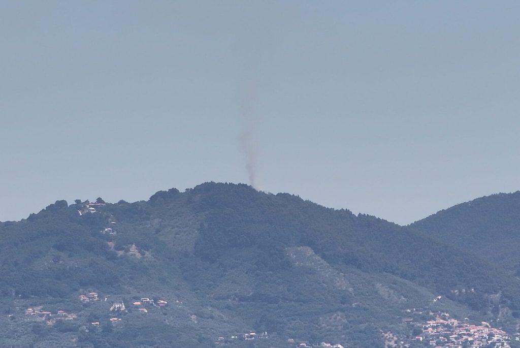 Μεγάλη κινητοποίηση της Πυροσβεστικής για φωτιά σε πευκοδάσος στη Σκόπελο – Σηκώθηκαν τέσσερα εναέρια μέσα