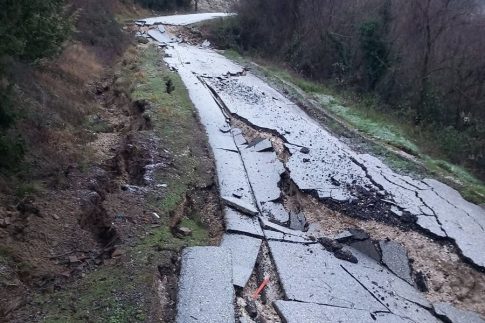 Νεκρός μαυρόγυπας στη Μηλιά Μετσόβου – Πιθανή δηλητηρίαση από δόλωμα