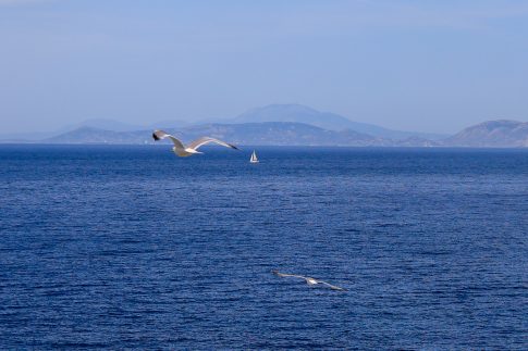 Υπάτη: To Ολοκαύτωμα της 17ης Ιουνίου 1944 από τα Ες Ες