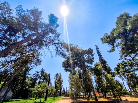 Προφυλακίστηκε ο 65χρονος για το διπλό φονικό στο Αίγιο