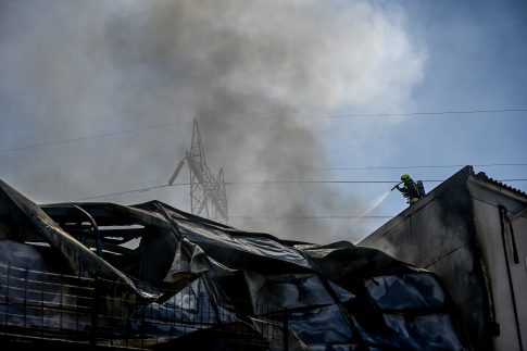Ζάκυνθος: Σύλληψη 40χρονου για διακίνηση ναρκωτικών και οπλοκατοχή