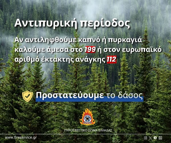 Φωτιά στη Ροδόπη: 5 αεροσκάφη, 42 πυροσβέστες, και δασοκομάτος, απεσόβησαν τα χειρότερα