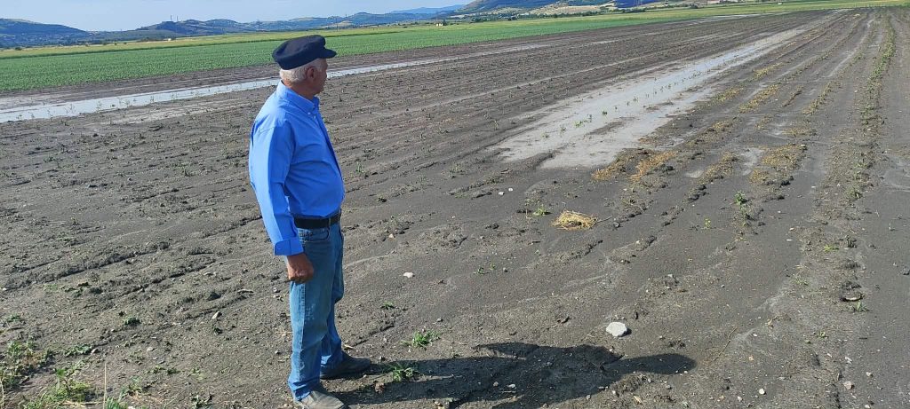 Κοζάνη: Πλημμύρισαν οι καλλιέργειες στην κοιλάδα Σαριγκιόλ μετά τη σφοδρή κακοκαιρία
