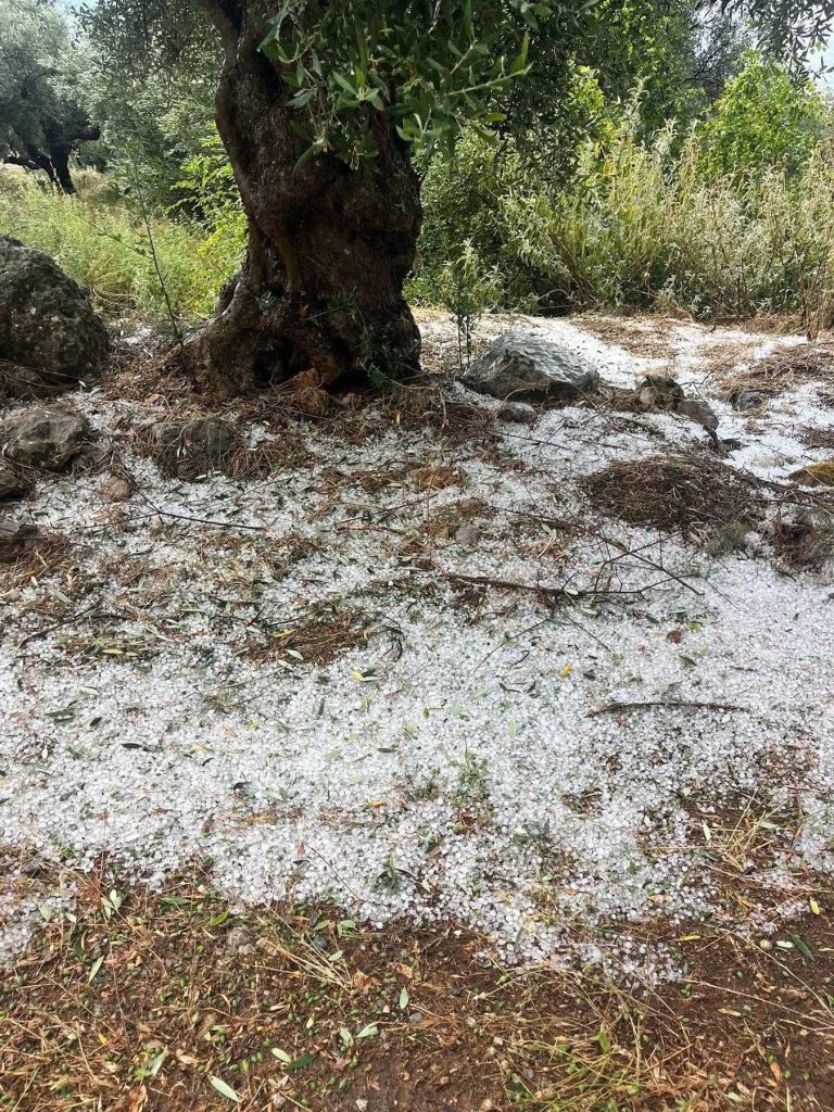 Καλαμάτα: Ισχυρή χαλαζόπτωση και μπουρίνι δημιούργησαν πρόσκαιρα μικροπροβλήματα – Ανησυχία για ζημιές σε καλλιέργειες