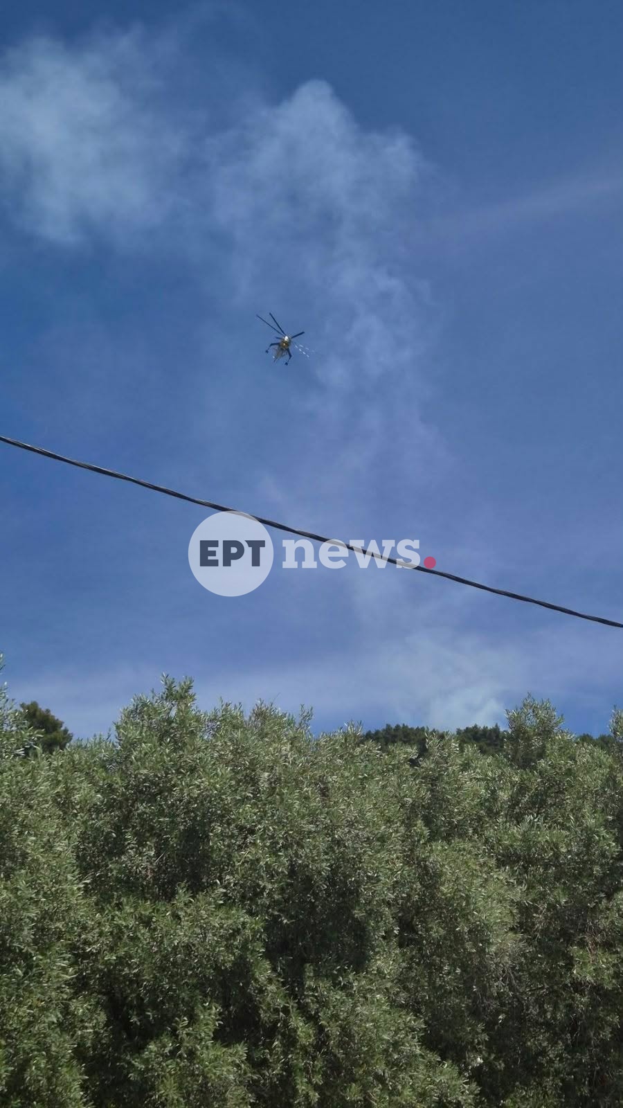 Μεγάλη κινητοποίηση της Πυροσβεστικής για φωτιά σε πευκοδάσος στη Σκόπελο – Σηκώθηκαν τέσσερα εναέρια μέσα