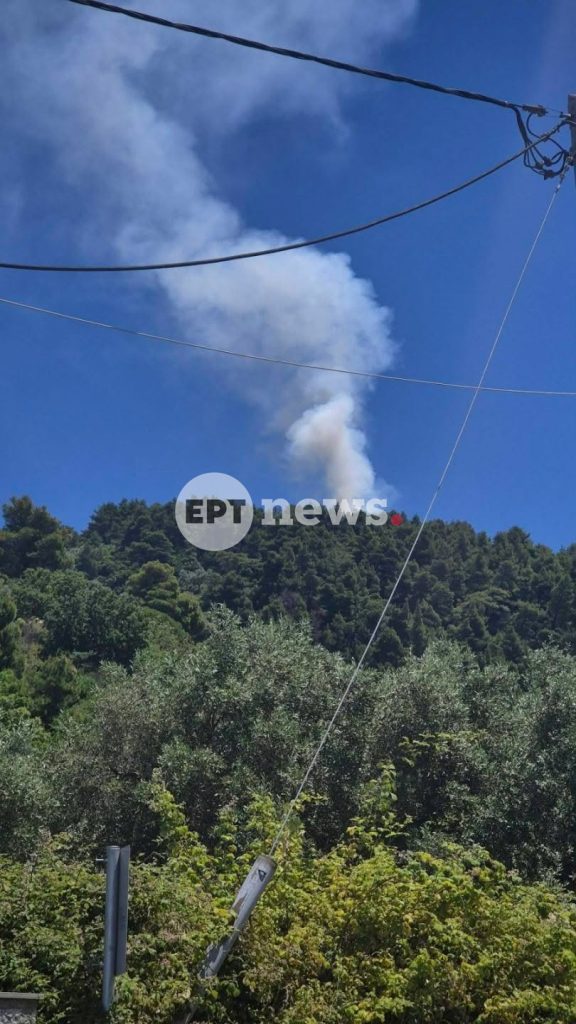 Μεγάλη κινητοποίηση της Πυροσβεστικής για φωτιά σε πευκοδάσος στη Σκόπελο – Σηκώθηκαν τέσσερα εναέρια μέσα
