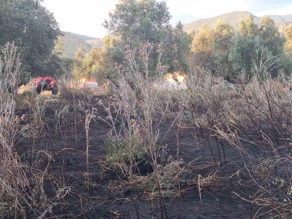 Καλαμάτα: Πιθανή ρευματοκλοπή πίσω από τις δύο πυρκαγιές στα Αρφαρά – Ευρήματα στα χέρια των αρχών