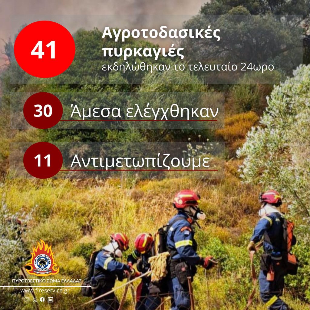 Φωτιά στη Ροδόπη: 5 αεροσκάφη, 42 πυροσβέστες, και δασοκομάτος, απεσόβησαν τα χειρότερα