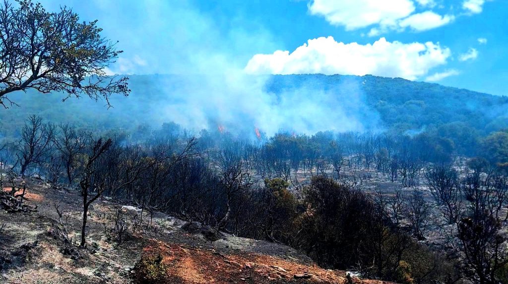 Φωτιά στη Ροδόπη: 5 αεροσκάφη, 42 πυροσβέστες, και δασοκομάτος, απεσόβησαν τα χειρότερα