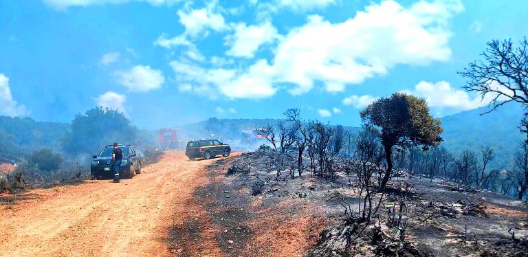 Φωτιά στη Ροδόπη: 5 αεροσκάφη, 42 πυροσβέστες, και δασοκομάτος, απεσόβησαν τα χειρότερα