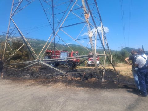 <strong><u>Σε λειτουργία το πρώτο στην Ηλεία πάρκο φωτοβολταϊκών επιχειρηματικής κοινότητας</u></strong>