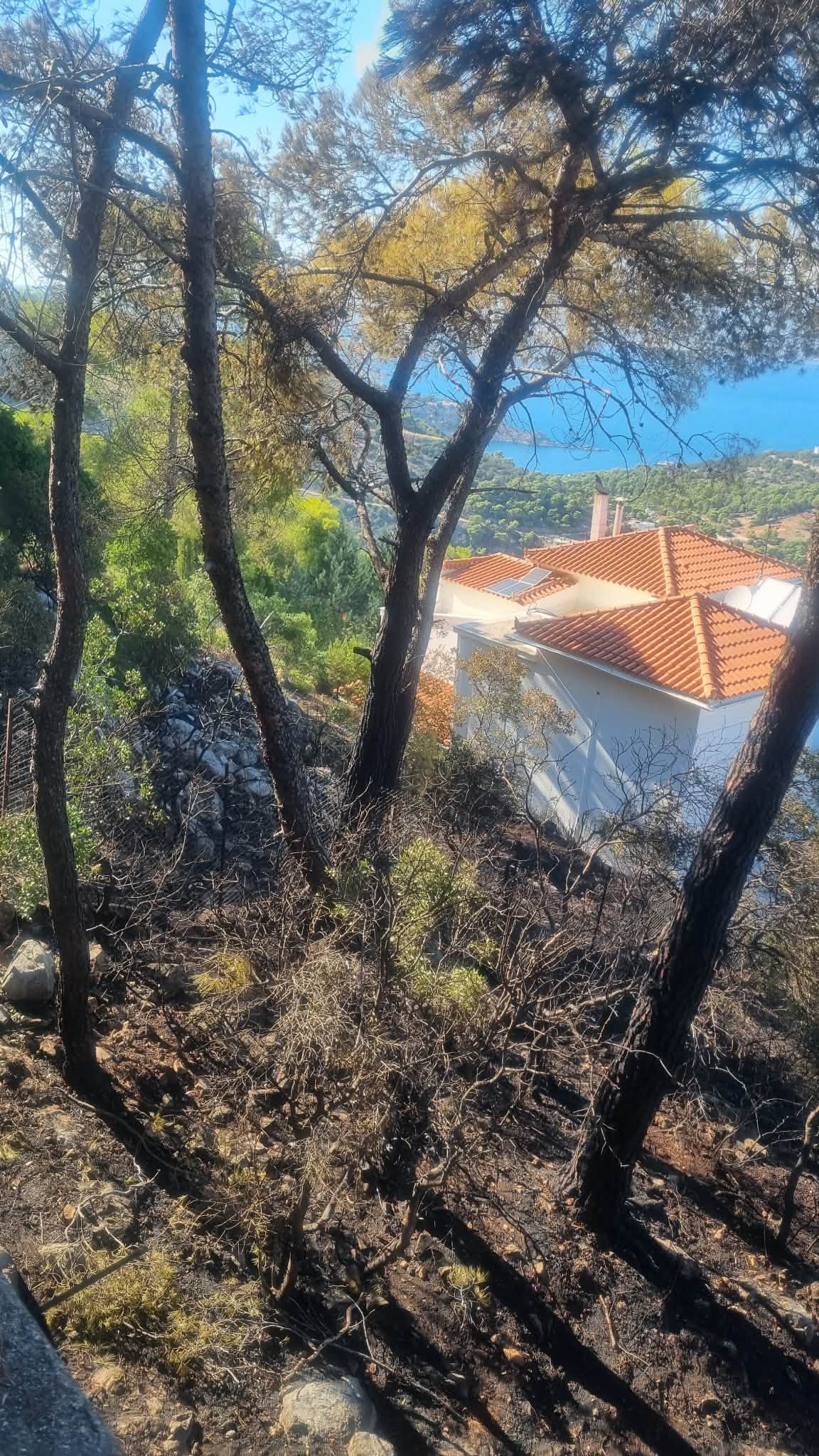 Σύλληψη 76χρονου ως υπαίτιου της πυρκαγιάς στο Σοφικό Κορινθίας