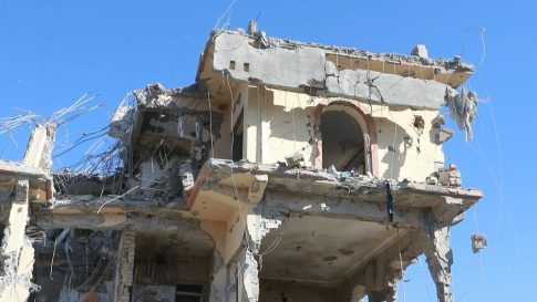 <strong>Ε. Λιακούλη: «Πλήρης η αποτυχία της διεθνούς κοινότητας στην προστασία των αμάχων»</strong>