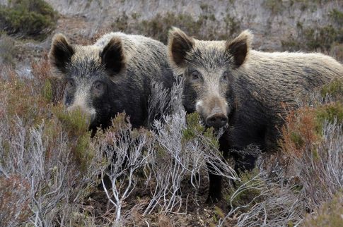 39η Διεθνής Έκθεση Τουρισμού Philoxenia–Hotelia στη Θεσσαλονίκη: Εκατοντάδες συμμετοχές από Ελλάδα και εξωτερικό
