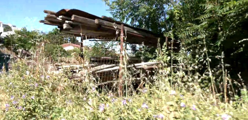 Πλήθος ακαθάριστων οικοπέδων σε περιοχές της Θεσσαλονίκης – Προθεσμία έως τις 22 Ιουνίου