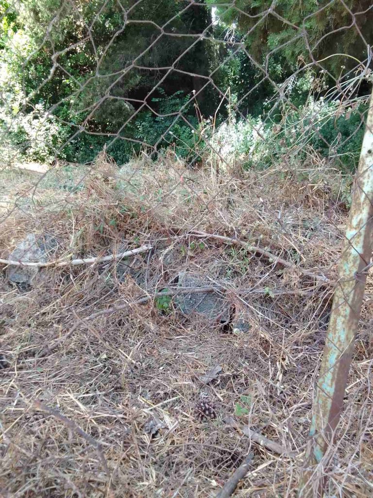 Κέρκυρα: Παρέμβαση στην Πυροσβεστική για την πυροπροστασία στο Άλσος των Φυλακών