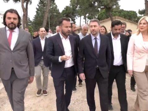 Μνημείο της φύσεως ο υπεραιωνόβιος πλάτανος στην Βερδικούσια