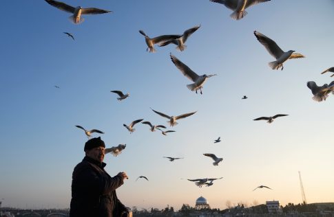 Ολοκληρώθηκαν τα έργα ασφαλτόστρωσης στις περιοχές Πλατανιάς, Κοκκινόγια, και Καναπίτσα