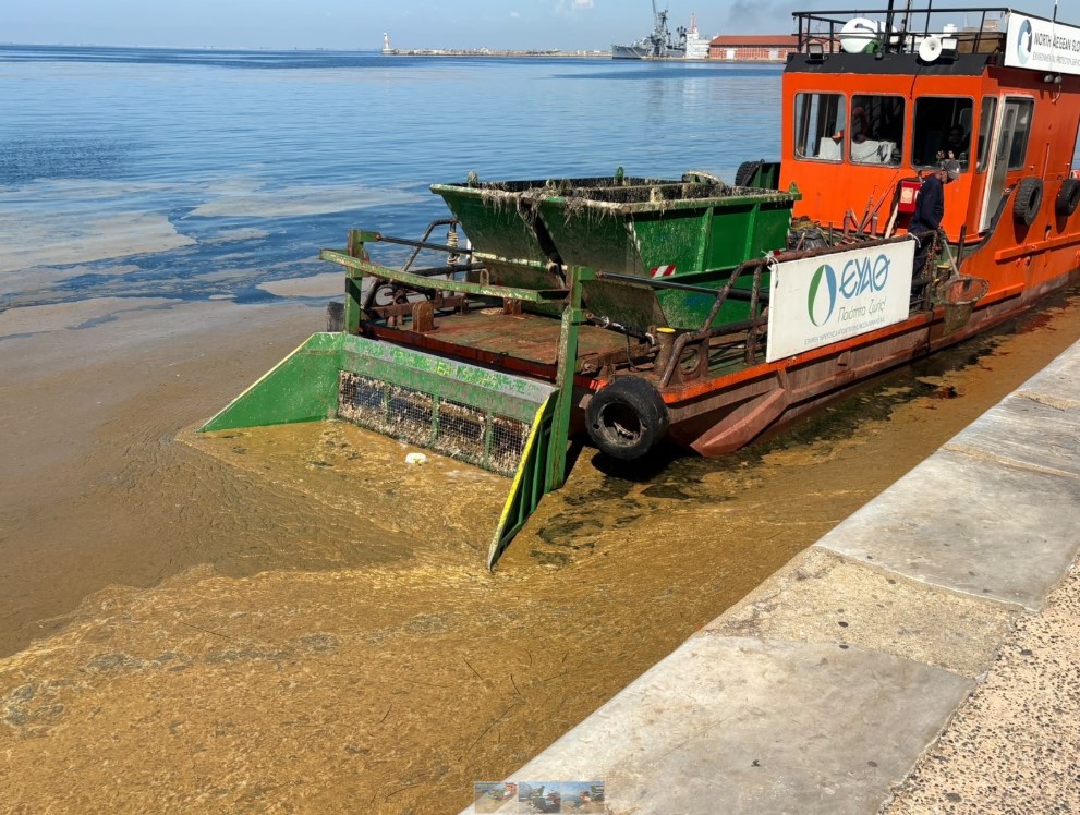 Θεσσαλονίκη: Όλο το καλοκαίρι θα καθαρίζει τον Θερμαϊκό η «Α