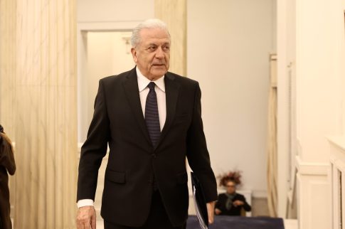 Δάσος Δαδιάς: Ανθεκτικότητα με 44 ενεργά ζευγάρια Μαυρόγυπα – Επέλεξαν και τις τεχνητές φωλιές
