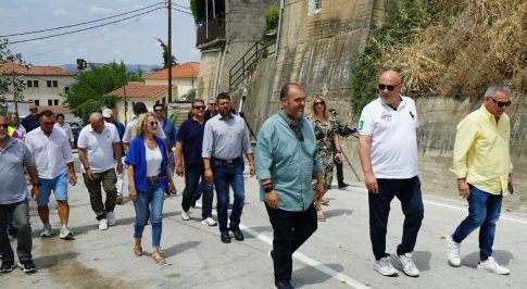 Πήλιο: Δημιουργία καταλυμάτων για αδέσποτα από παλιά στροφεία καλωδίων