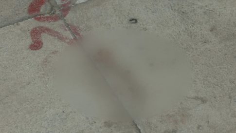 Δηλητηρίαση αιωνόβιου πλατάνου στη Νέα Αγχίαλο – Έρευνα της Αστυνομίας για τον δράστη