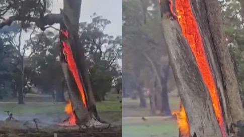 Μουσική, χορός και έθιμα: Οι «Μινωίτες» Γιαννιτσών ΣΤΗΝ “ΠΕΡΙΜΕΤΡΟ”