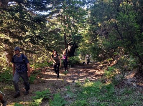 Έξι επιβεβαιωμένα κρούσματα ευλογιάς των αιγοπροβάτων στην Περιφέρεια της Πελοποννήσου