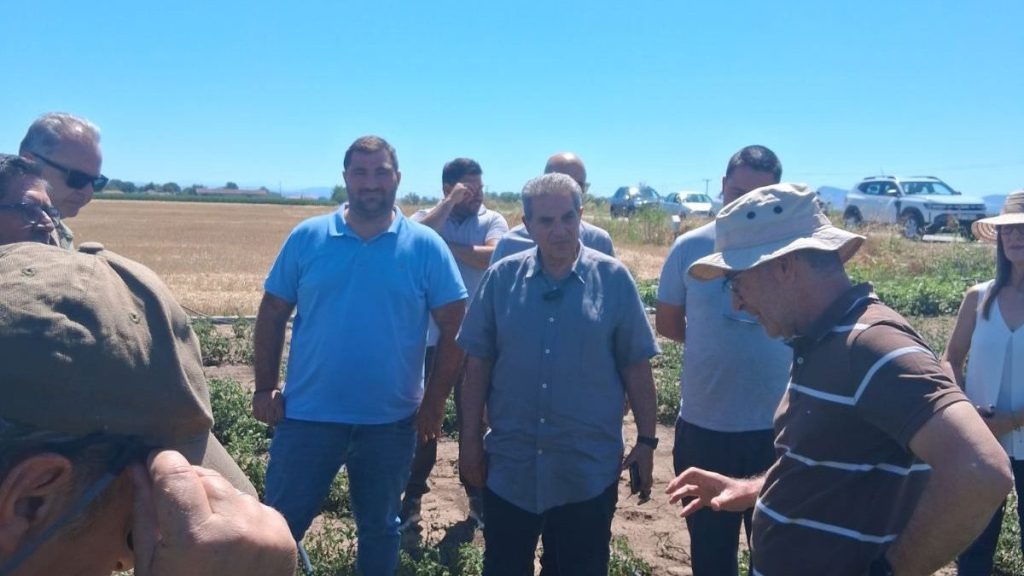 Στις πληγείσες περιοχές των Φαρσάλων στελέχη του ΕΛΓΑ