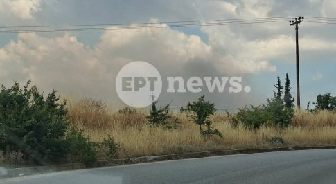 Θεσσαλονίκη: Πυρκαγιά στο Δερβένι – Επιχειρούν εναέρια, ενισχύθηκαν οι δυνάμεις της Πυροσβεστικής – Ήχησε το 112