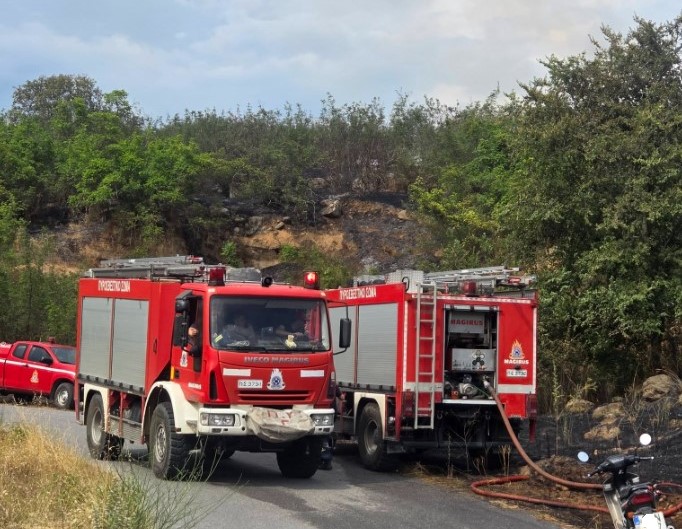 Πέλλα: Υπό μερικό έλεγχο η φωτιά που ξέσπασε σε αγροτοδασική έκταση στην Καλή