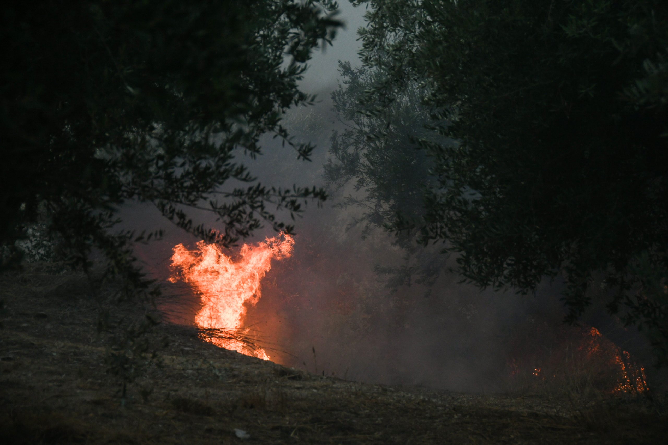 Πυρκαγιά στα Άνω Λιόσια: Καίει ξερά χόρτα