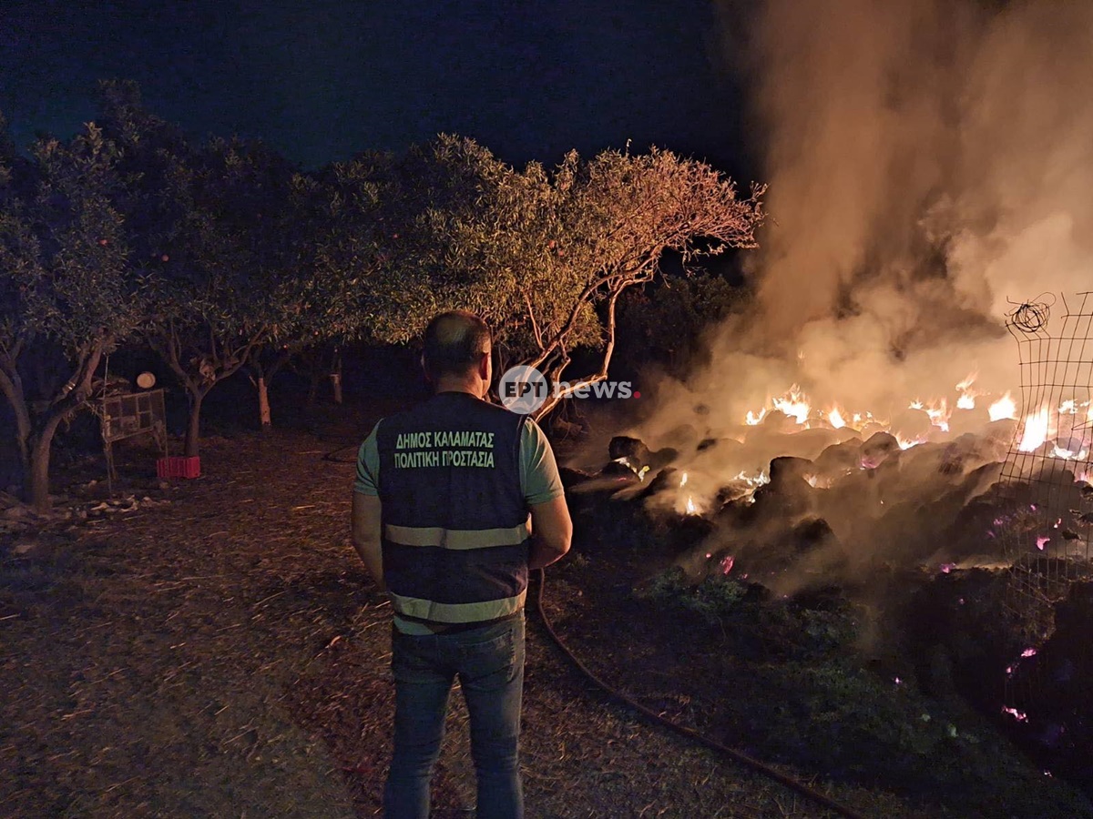 Μεσσηνία: Φωτιά τα ξημερώματα δίπλα σε σπίτια στη Μικρομάνη – Άμεση επέμβαση απέτρεψε την επέκτασή της