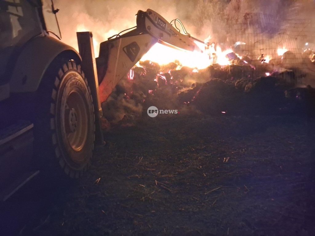 Μεσσηνία: Φωτιά τα ξημερώματα δίπλα σε σπίτια στη Μικρομάνη – Άμεση επέμβαση απέτρεψε την επέκτασή της