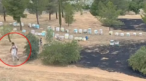 Δημοτικό Στάδιο Ζακύνθου: 500.000 ευρώ για επισκευή και αποκατάσταση της κερκίδας