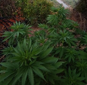 Εκδήλωση για την Παγκόσμια Ημέρα<br>Ατόμων με Αναπηρία στον Πύργο