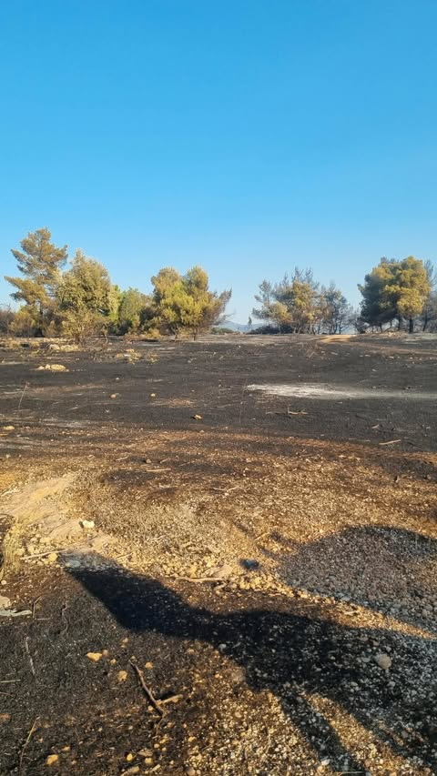 Σε ύφεση η φωτιά στην Κόρινθο