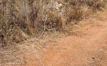 Καλαμάτα: Πιθανή ρευματοκλοπή πίσω από τις δύο πυρκαγιές στα Αρφαρά – Ευρήματα στα χέρια των αρχών