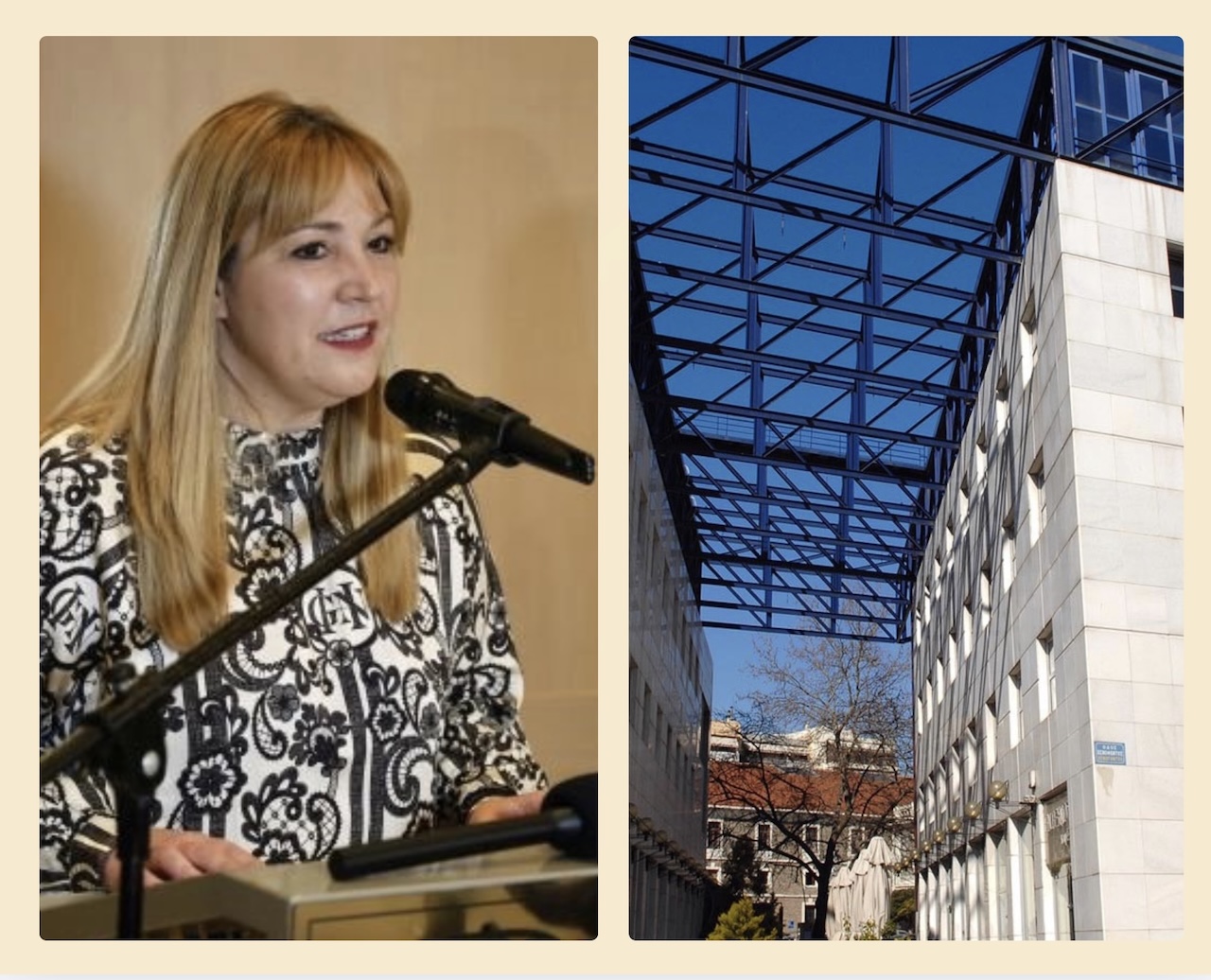 Η πρόεδρος του ΤΕΕ Μαγνησίας μιλά στην ΕΡΤ Βόλου: Σκάνδαλα στις πολεοδομίες και θεσμική αστάθεια “θολώνουν” τις μεταρρυθμίσεις