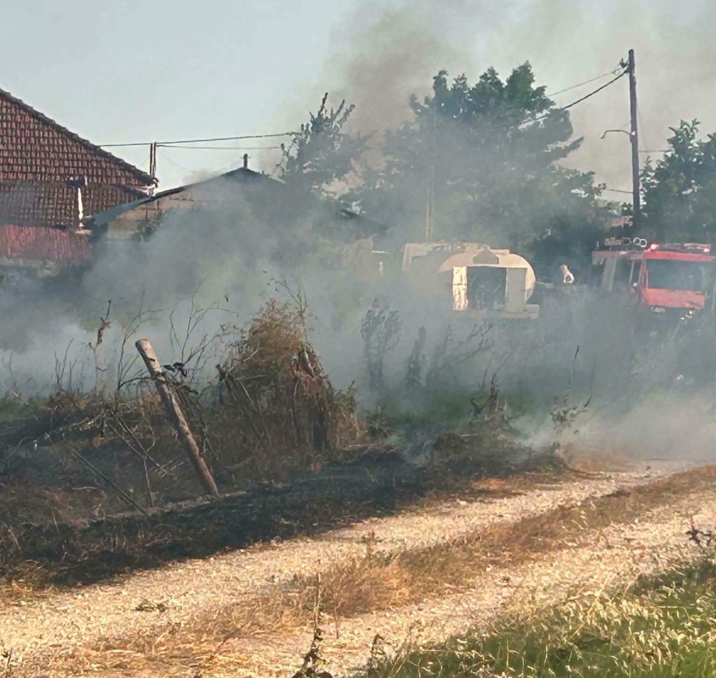 Υπό έλεγχο πυρκαγιά στη Μαραθέα του Δήμου Παλαμά Καρδίτσας